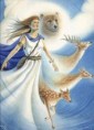 /album/photogallery/artemis-jpg1/