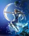 /album/photogallery/artemis1-jpg1/