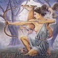 /album/photogallery/artemis9-jpg1/